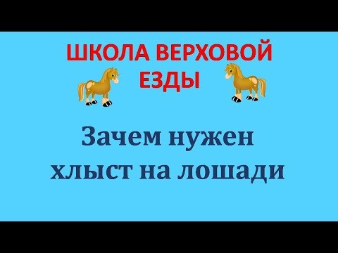 ЗАЧЕМ НУЖЕН ХЛЫСТ НА ЛОШАДИ