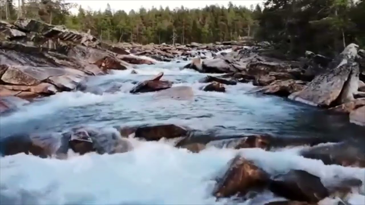 sky dancers  michel lerou album
