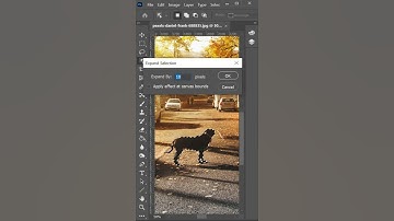 Remove Unwanted Objects in Photoshop #shorts #photoshoptutorial