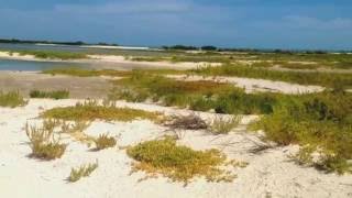 Isla Aguada (Cayó Arena)