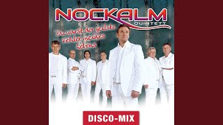 Du warst der geilste Fehler meines Lebens (Disco Mix)