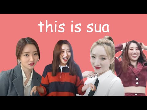 this is: sua 🐥 (2020)