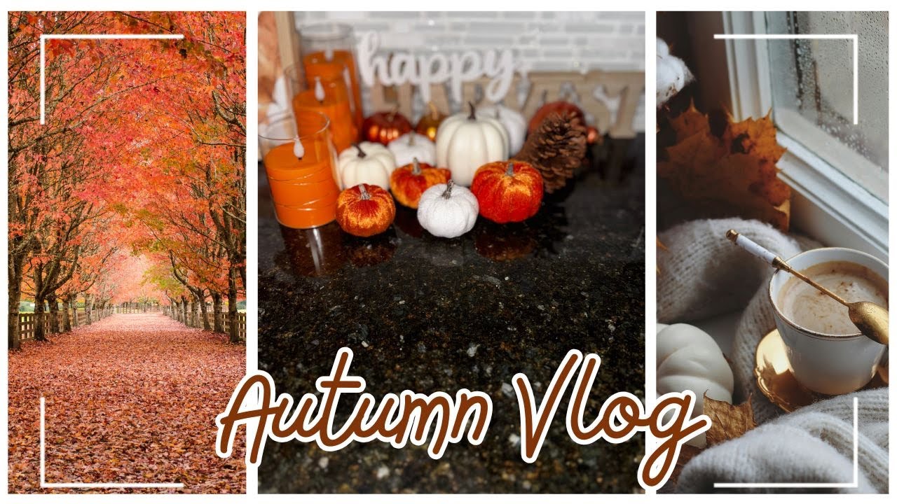 Vlogtober Episode 1/31 |  Welcome to my series | Vlogtober Ideas