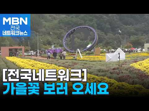 Colorful Autumn Flowers in Full Bloom… Inje Is a 'Flower Paradise' [National Network]