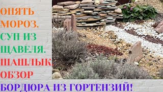 картинка: ОПЯТЬ МОРОЗЫ / ШАШЛЫК ДОМА / ИЗЮМ ИЗ КРЫЖОВНИКА / КОЛЛЕКЦИЯ ХРИЗАНТЕМ