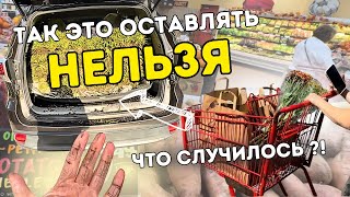 картинка: Так просто они не отстанут Придется решать проблему быстро