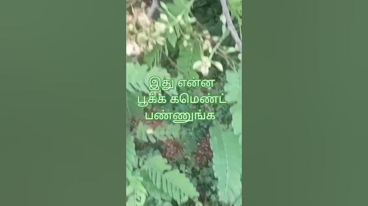 என்ன பூ கமெண்ட் பண்ணு #lifeisbutadream #whowillbemylifepartnerta #june19 #love