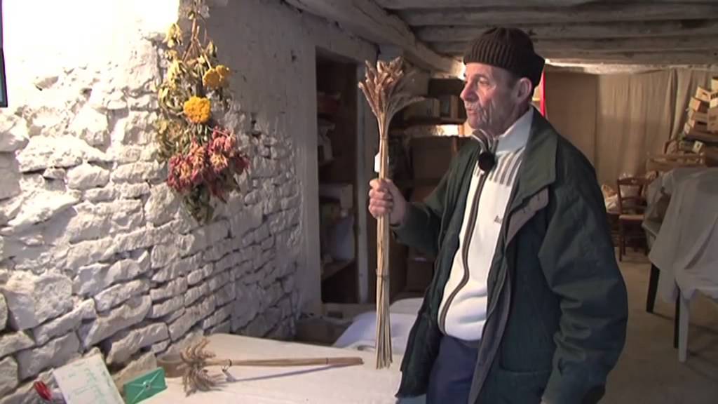 Bernard Ronot : le système racinaire essentiel pour obtenir de l'énergie dans les aliments