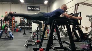 Unloaded Reverse Hyper