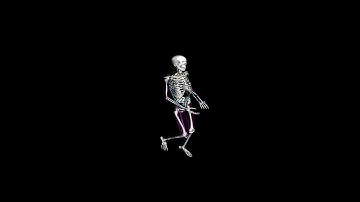 Biomechanical Human Simulation: Walk