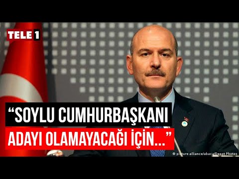 PİAR Araştırma Başkanı