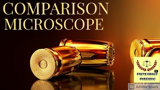 Celebrity |Comparison Microscope Slideshow| Full Video on my Channel. Net Worth