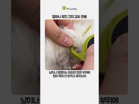 얼마나 엉킨 건지 감도 안옴 thumbnail
