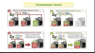Best of the Year - Swiss made software File-Server optimization solution FILEminimizer - balesio