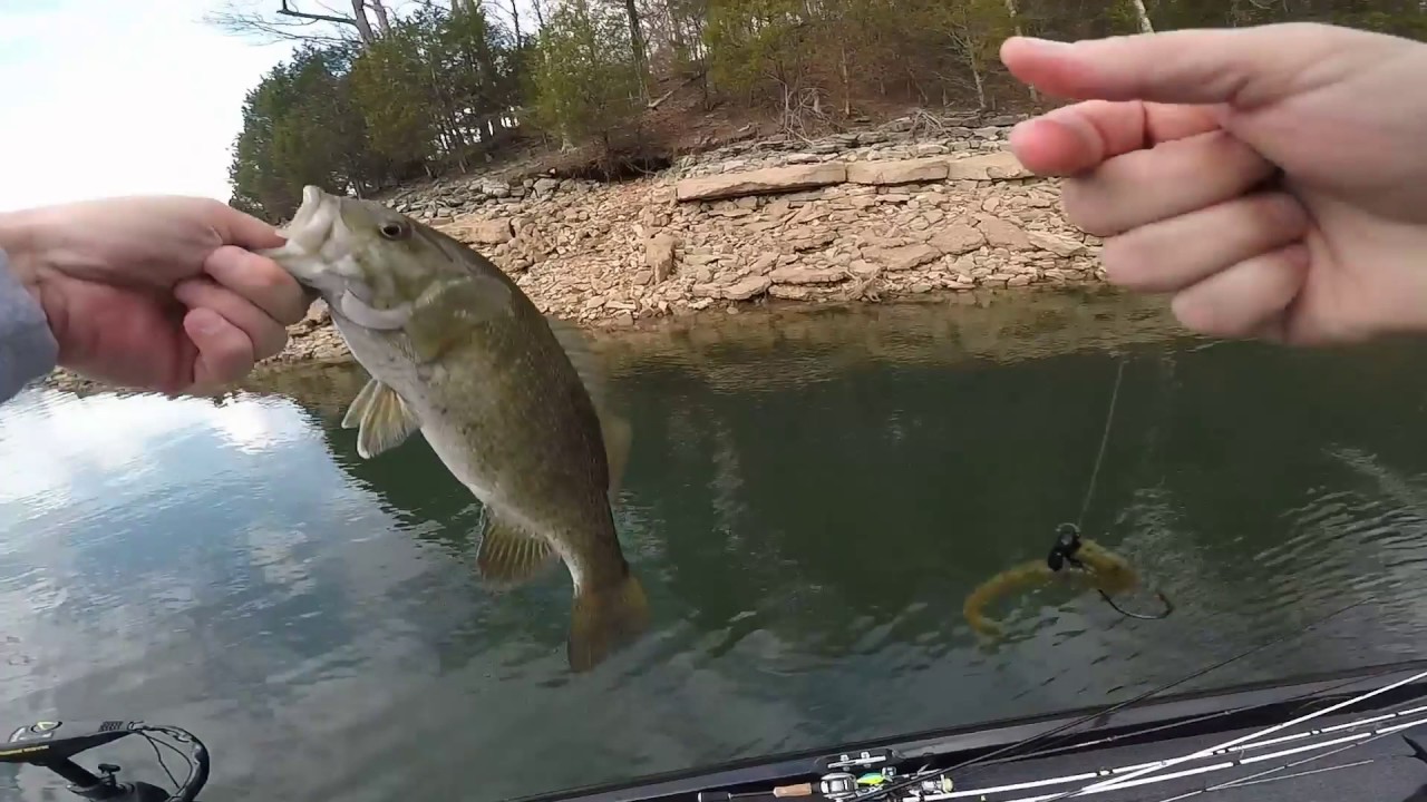 Fishing on Tim's Ford Lake YouTube