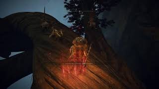 Elden Ring 100% Completion