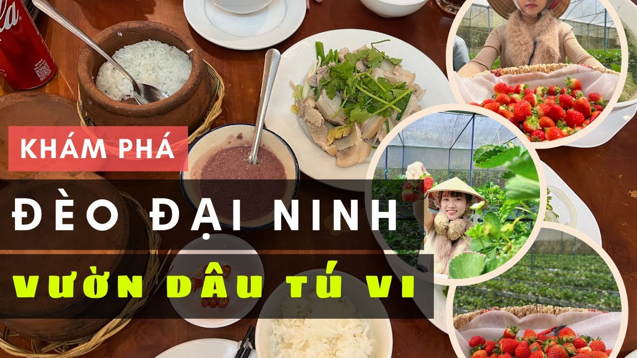 [REVIEW] || ĐÈO ĐẠI NINH - ĐÈO NGUY HIỂM NHẤT VIỆT NAM || VƯỜN DÂU TÚ VI ĐÀ LẠT || NAM JACKIE
