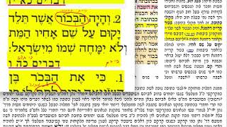 הדף היומי מסכת בכורות דף נב Daf yomi Bechoros daf 52