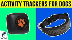 8 Best Activity Trackers For Dogs 2019