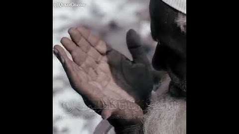 سورة القلم من الآية ٢٨ إلى ٢٩