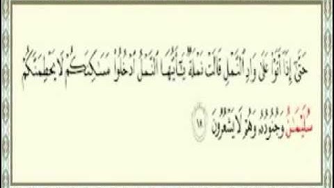 جميع الآيات التي ذكرت إسم النبي سليمان عليه السلام