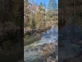 On a late winter's day...moments of flowing water and sounds of wildlife along Lee Vinning Creek