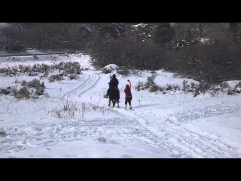 Skijouring video 2