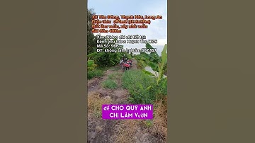 Nhà vườn Long An | Đất để xây nhà vườn, thiết kế mô hình vườn ao cây ăn trái #shorts