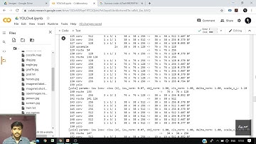 Object Detection By Yolov4 Darknet on Google Colab in Hindi - Part-1