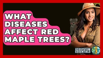 What Diseases Affect Red Maple Trees? - Ecosystem Essentials
