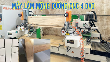 Máy làm mộng dương 2 đầu 4 dao chạy rãnh đầu mộng WM-D200-FR