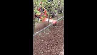 Yüksan Kivrak Freze