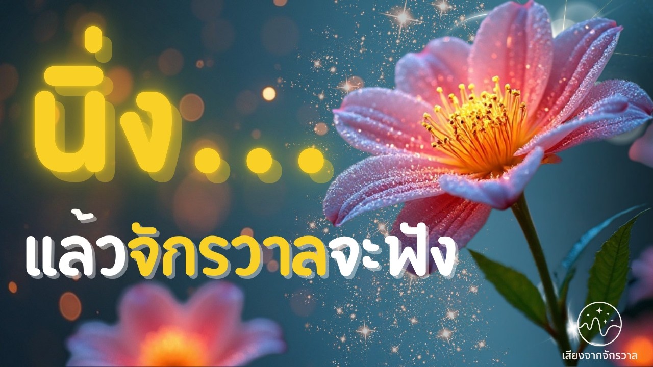 นิ่ง…แล้วจักรวาลจะฟัง | เมื่อชีวิตเงียบ ไม่ได้แปลว่าถูกลืม | บทสนทนาที่ไม่ต้องใช้คำพูด