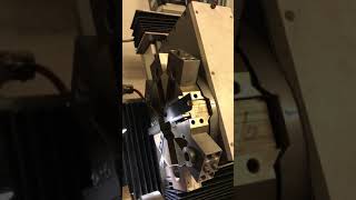 IMG 0172