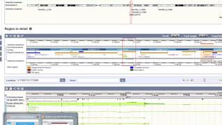Genome Exploration Tutorial