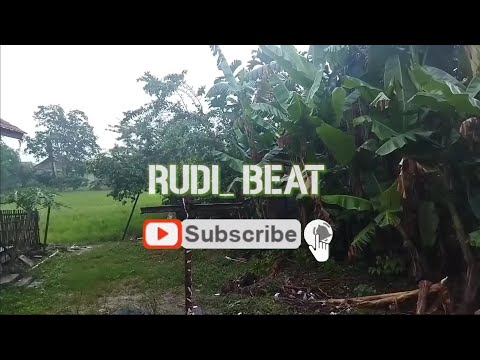 ADEPAN RABINE  \\\\ ORGAN TENGDUNG MIMIH CICIH