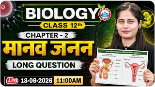 Class 12 Biology Chapter 2 Human Reproduction | मानव जनन | 12th Biology Long Question Answer