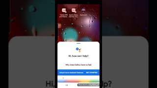 Ragdoll Productions 2021 Google Assistant. Why does Caillou have no hair?
