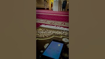 إن الله وملائكته يصلون على النبي | تلاوة رائعة