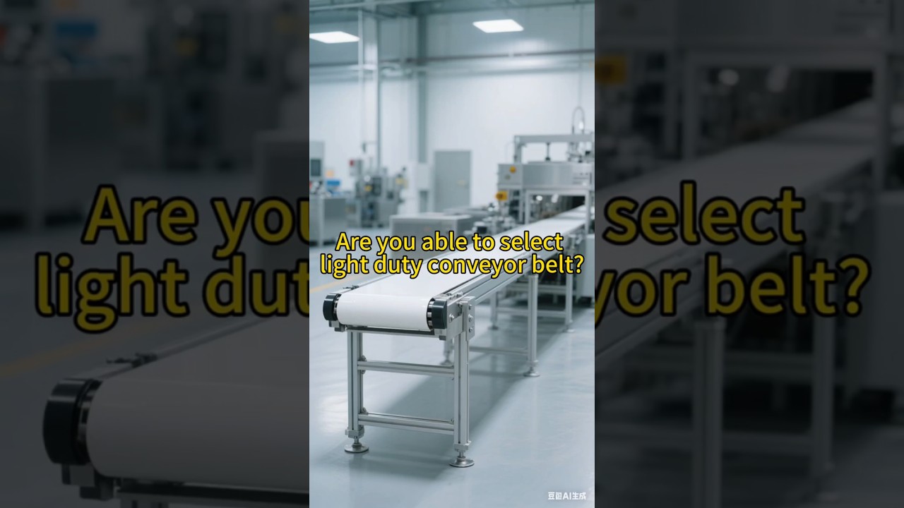 Are you able to select the light duty conveyor belt?