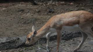 Literasi Nf Computer