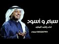الاسد صمتـه مهـابـة و الدليل راشد الماجد 2026 سباع و أسود 2026 راشد الماجد اغنية راشد الماجد