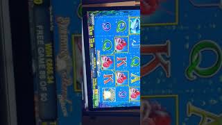 Big Win Dolphins Pearl Deluxe 2 Ago Real Casino