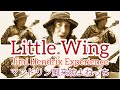 Little Wing/Jimi Hendrix をマンドリンで演ってみた♬/マンドリン風来坊よねっち