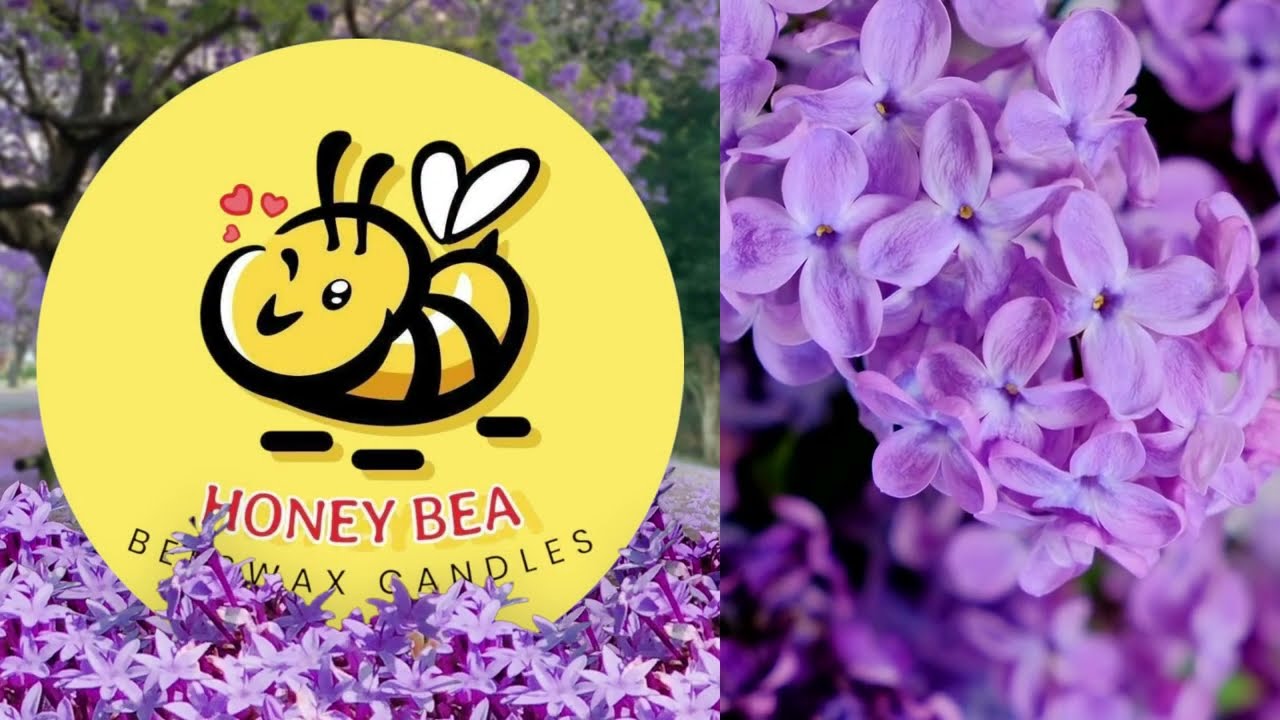 Honey Bea making beeswax candles