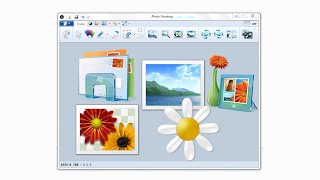 Famous photo Editor visual basic VB.NET Net Worth