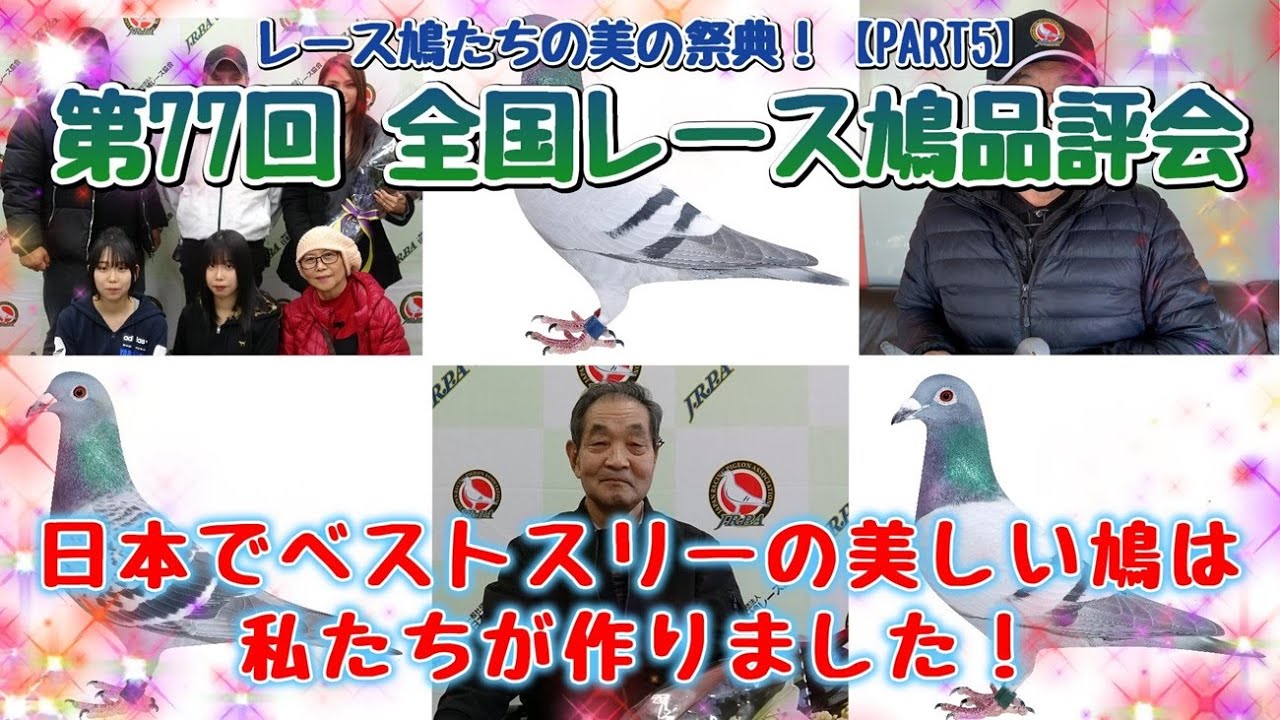 第77回 全国レース鳩品評会【PART5】