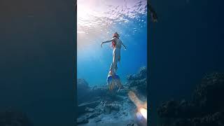 The Reality Of Mermaids
