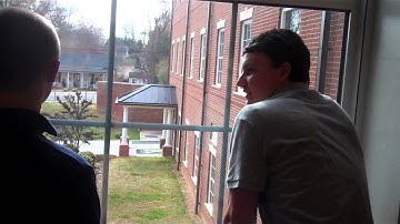 Aggression or Altruism?