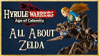 All About Zelda (Master Cycle FULL GUIDE) - Hyrule Warriors: Age of Calamity | Warriors Dojo